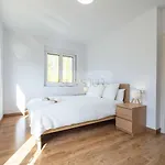 Casa Gueelina By Silastur